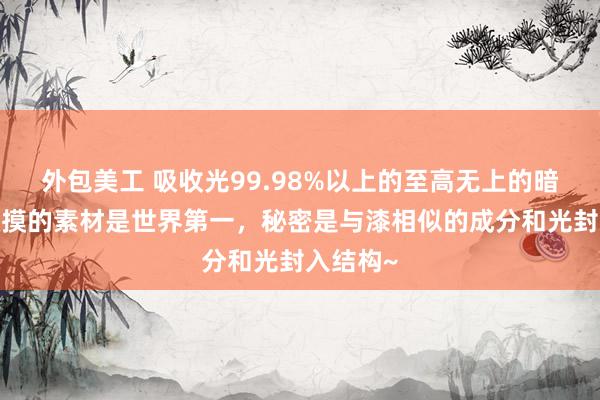 外包美工 吸收光99.98%以上的至高无上的暗黑片~触摸的素材是世界第一，秘密是与漆相似的成分和光封入结构~