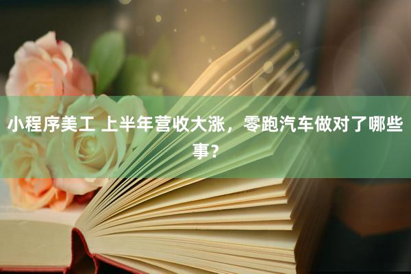 小程序美工 上半年营收大涨，零跑汽车做对了哪些事？